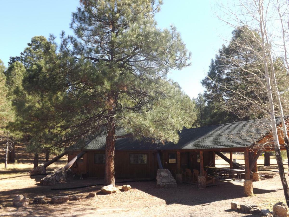 Arizona Mountain Inn&Cabins Flagstaff Esterno foto